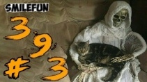Смешные проделки кошек в свободное время приколы с кошками - «Видео приколы»