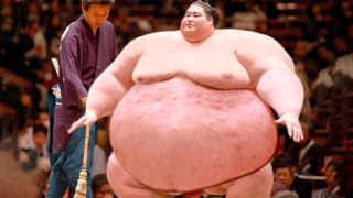 На что способен самый толстый и гигантский сумоист - «Видео приколы»