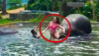 Как слон искупал своего наездника в реке - «Видео приколы»