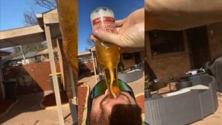 Как пить пиво как профессионал - «Видео приколы»