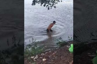 Крокодил атаковал туриста который не успел доплыть до берега - «Видео приколы»