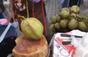 Очистка этого кокоса гипнотизирует - «Видео приколы»