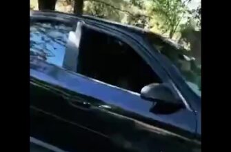 Оставила окна открытыми в машине и вот результат… - «Видео приколы»