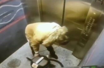 Следите за веревкой когда садитесь в лифт - «Видео приколы»