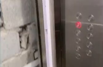 Внезапный хаос в лифте - «Видео приколы»