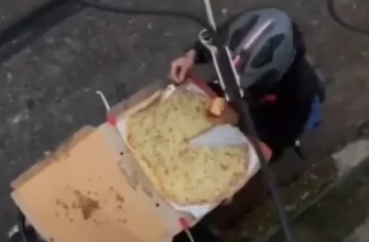 Как курьеры воруют пиццу во время доставки - «Видео приколы»