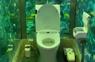 Туалет который мы все заслуживаем - «Видео приколы»