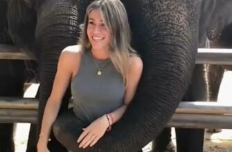 В Таиланде слон напал на молодую туристку - «Видео приколы»