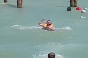 Тюлень напал на мужчину в Каспийском море - «Видео приколы»