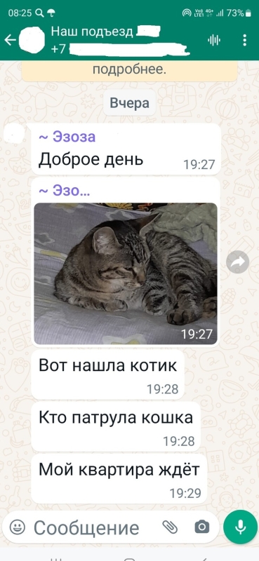 Основные жители города - «Интересное»