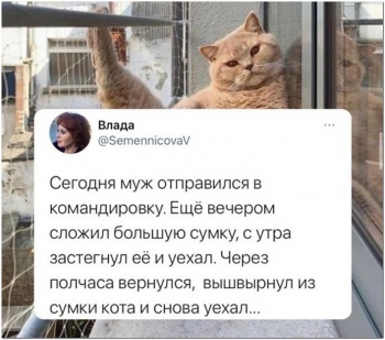 Смешные, забавные и прикольные картинки с текстом. - «Фото приколы»