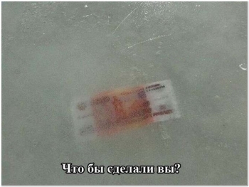 Прикольные и занимательные фотографии для вашего в - «Фото приколы»