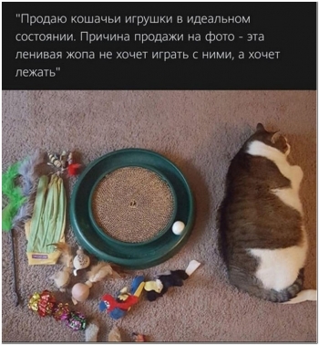 Свежие и забавные фотоприколы можно смотреть и скачивать на кайф - «Фото приколы»
