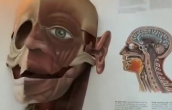 Самый хороший 3D учебник анатомии - «Видео приколы»