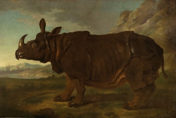 Жизнь Клары самого, пожалуй, известного носорога XVIII века - «Фото приколы»