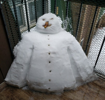 Все мы привыкли к обычным снеговикам, представляющим из себя т - «Фото приколы»