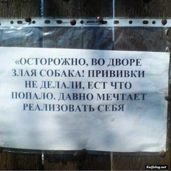 Как вы думаете, где можно найти позитив?) В смешных об - «Фото приколы»