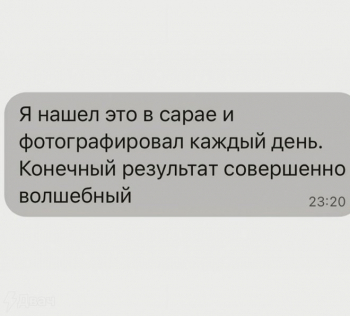 Один парень наблюдал за коконом бабочки в свое - «Фото приколы»