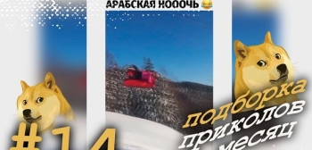 Подборка приколов за месяц. Лучшие приколы недели. Январь 2021. #14. (видео) - «Интересное»