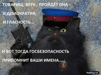 Радоваться жизни, а также смотреть и скачивать новые прико - «Фото приколы»