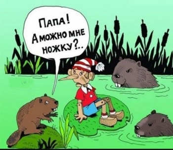 Смотрим картинки для хорошего настроения! - «Фото приколы»