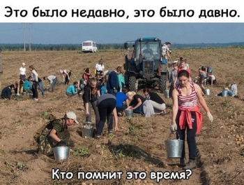 Смешные фотографии с комментариями для вашего внимания и хорош - «Фото приколы»