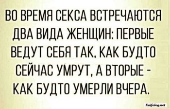 прикольная картинка