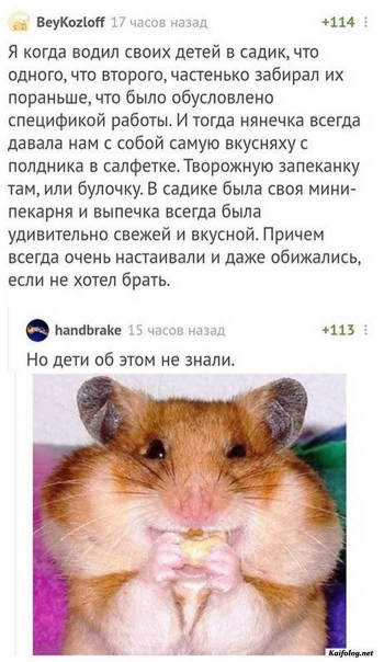 прикольная картинка