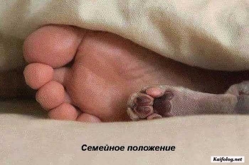 прикольная картинка