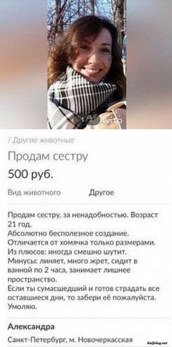 прикольная картинка