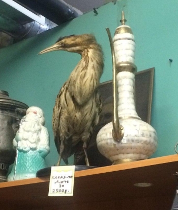 прикольное фото из соцсети